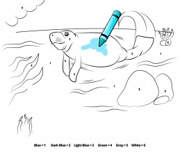 Manatee crayon